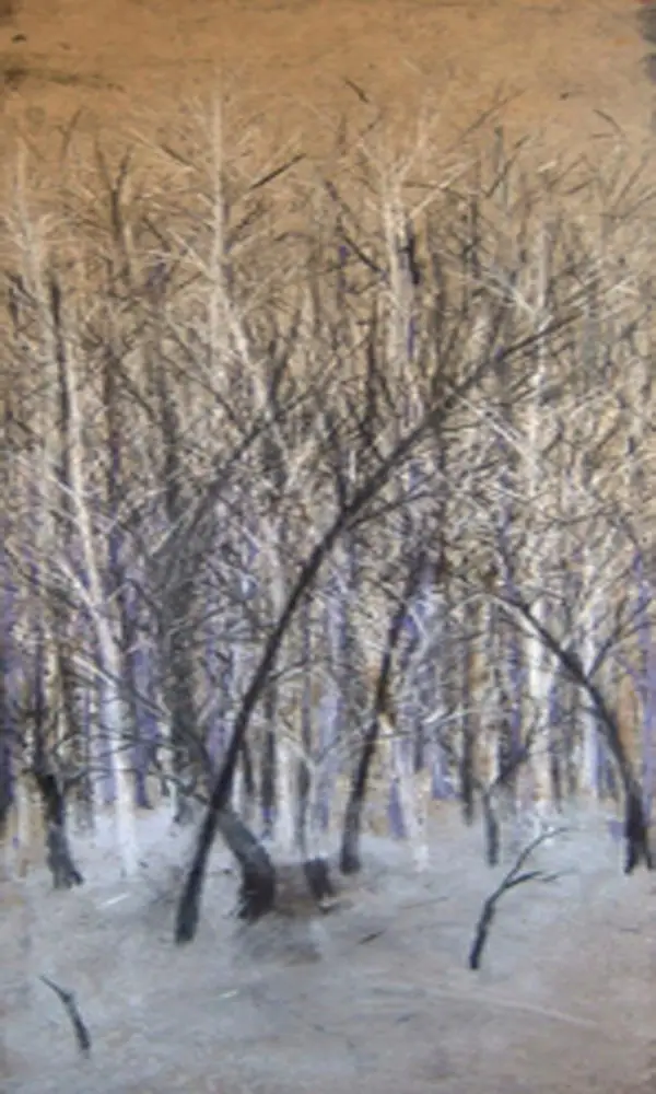 Linderos, técnica mixta sobre tela, 2005, Noel Morera Cruz